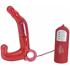   PLEASURE WAND   
     12 .