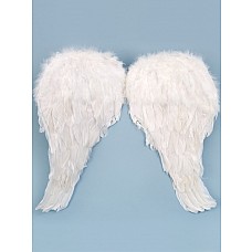    50*50  02591 
<br>: <b>Le Frivole Costumes</b><br/>