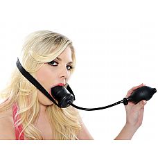  ,  
   ?    !       -         .