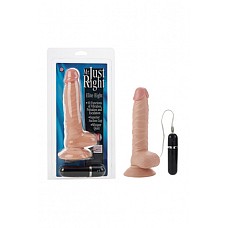 ������������� Mr. JUST RIGHT Elite Eight 8,5" �� �������� � ��������� � ����������, �������� 
������������� Mr.