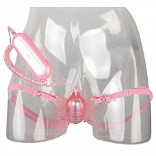    «»    . 
   «»    .