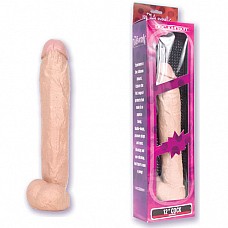  THE NATURALS 12in 5015-01 BX DJ 
   THE NATURALS.