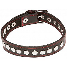   X-Play Riveted Collar 
      ,   .  .