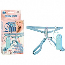 -  DOLPHIN 0613-50 BX SE 
    - .