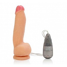   MAX - 17 . 
      -,      Futurotic,     .