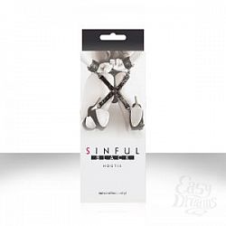  ׸   Sinful Black Hogtie 
