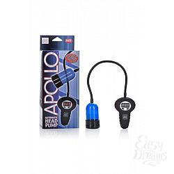     Apollo Automatic Head Pump  