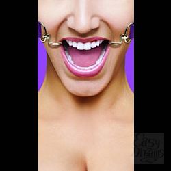     Hook Gag