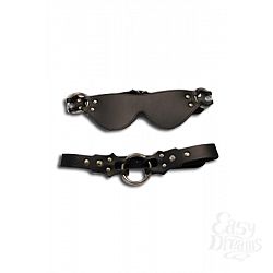   +-  Eye mask & ring gag  
