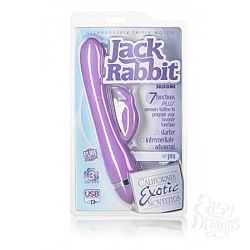    ReCNargeable Triple Motor Jack Rabbit - Purple (NEW) 