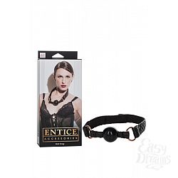    Entice Ball Gag