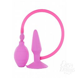     SMALL INFLATABLE PLUG - 10 .
