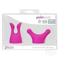      PalmPower Massager  