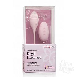   INSPIRE VIB RMT KEGEL EXERCISR