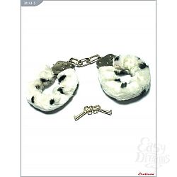  ������������� ��������� � ����-������ �����