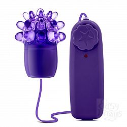      Splash Wild Grape Blast 