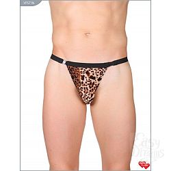  ����������� �����-������� � ���������