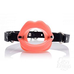      Sissy Mouth Gag