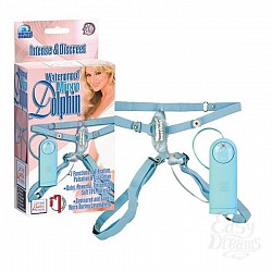    Wp Micro Dolphin 0613-50BXSE