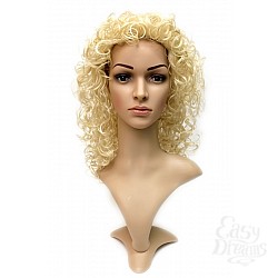   Daniella Wig  -   , -
