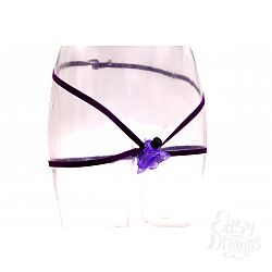  - BUTTERFLY ADVENTURE AROUSER