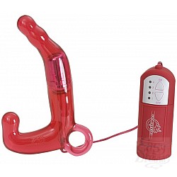   PLEASURE WAND  