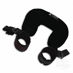  ������ ��������� � �������� � ����������� �������