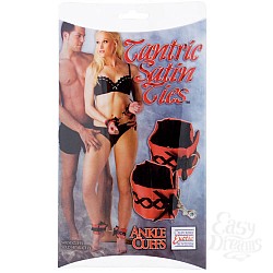      TANTRIC 4025-40 BX SE