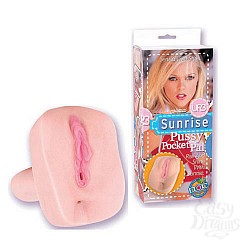   SUNRISE 5556-06 BX DJ