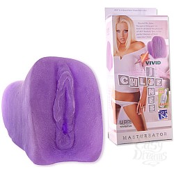    CHLOE JONES 5557-06 BX DJ