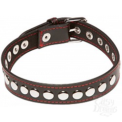    X-Play Riveted Collar