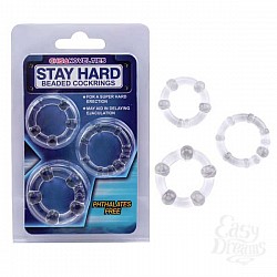      Stay Hard