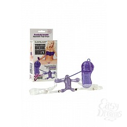      Gina Lynn s Vibrating Adventure Arouser   