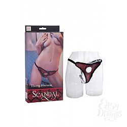     Scandal Thong Harness , : -