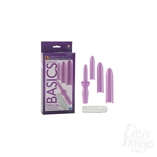  1:   Dilator Set Purple Dilator with 4 Sizes & Sleeve   
