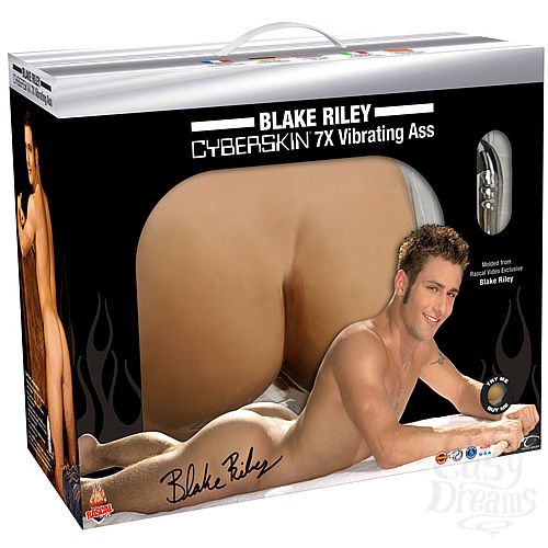 3       BLAKE RILEY 9045-7 BX TS