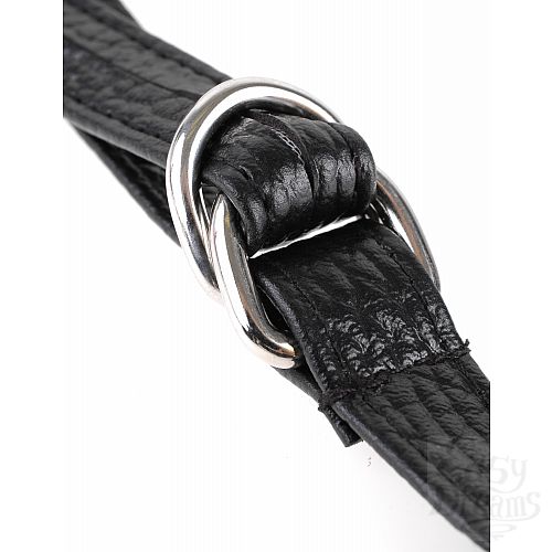  4  - Fetish Fantasy Series Leather Fantasy Harness    
