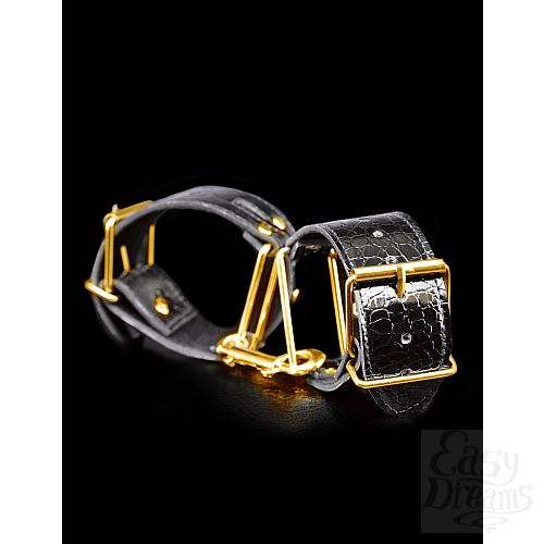  2   Fetish Fantasy Gold Cuffs   