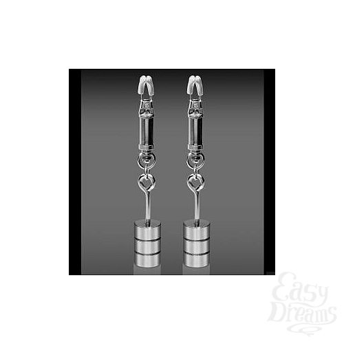  2      Metal Worx Nipple Clamps   