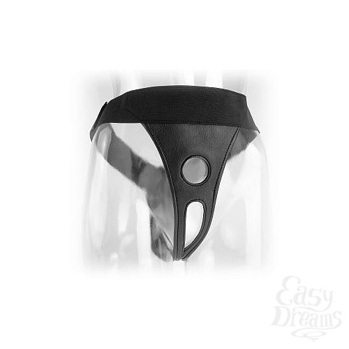  2        Fetish Fantasy Series Crotchless Harness