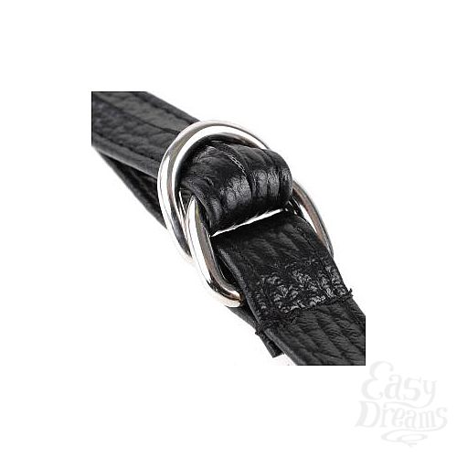  3        Fetish Fantasy Series Leather Fantasy Harness