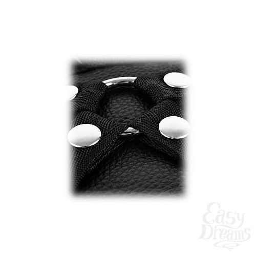  3         Fetish Fantasy Series Leather Lovers Harness