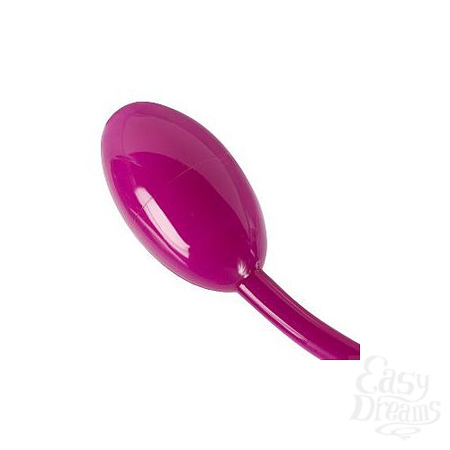  2     Flex-a-Pleasure
