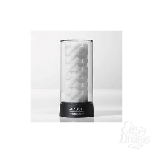  2   Tenga 3D Module