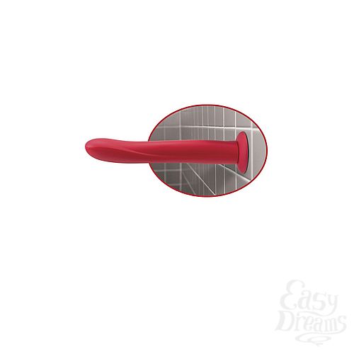  4     Vibrating 10 Dildo Red