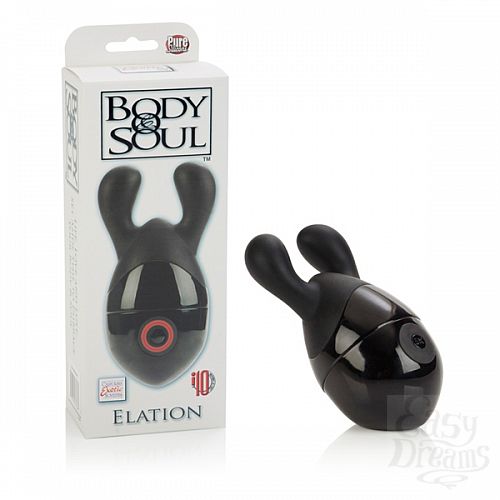  1:  Body & Soul Elation Massagers