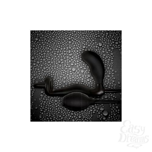  1:          Renegade Mens Pleasure System