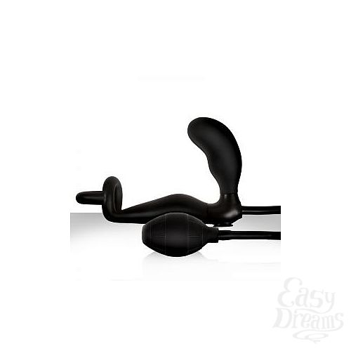  2          Renegade Mens Pleasure System