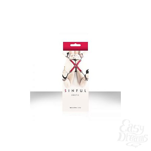 ���������� 1:  ������� �������������� �������� Sinful Hogtie