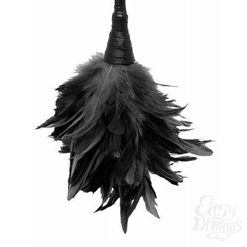  4   Frisky Feather Duster